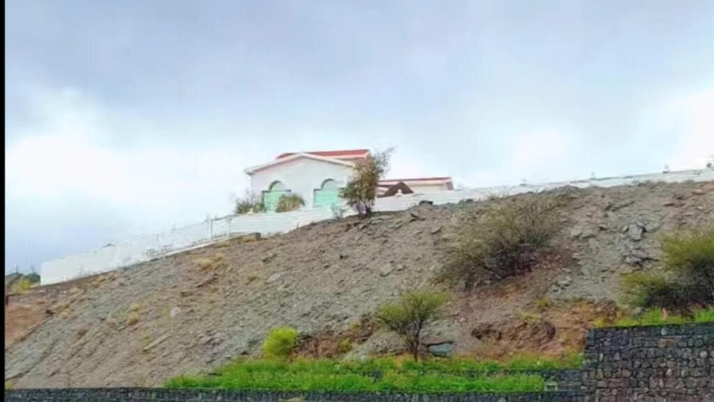 Fotoğraf: İnstagram @uae_flower_farm'dan Screengrab