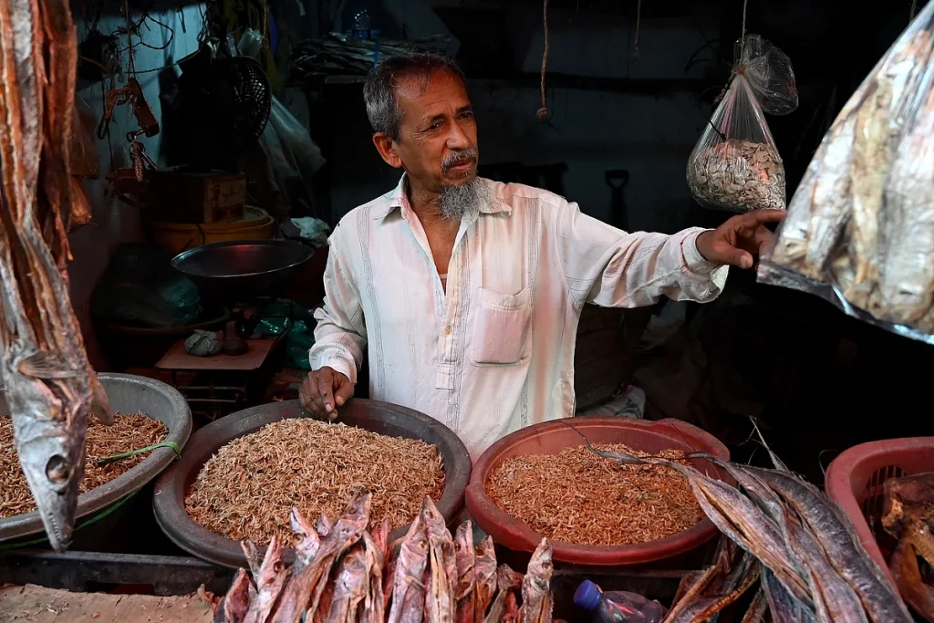 PAKİSTAN-BANGLADEŞ-DİPLOMASİ-KÜLTÜR